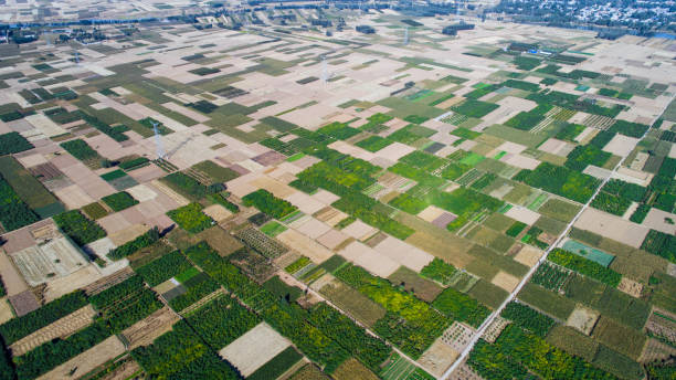 istock Aerial view of fields 1130072560