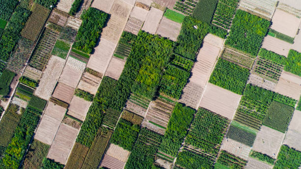 istock Aerial view of fields 1130072586