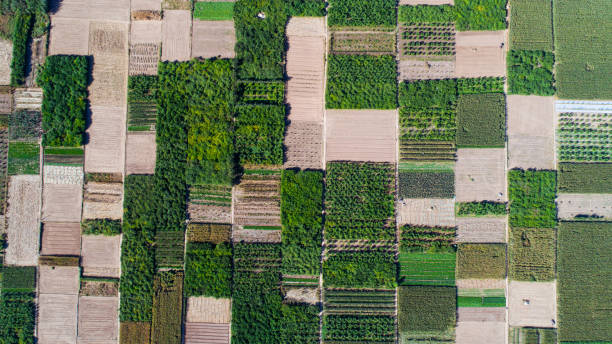 istock Aerial view of fields 1130072598