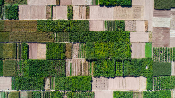 istock Aerial view of fields 1130072601