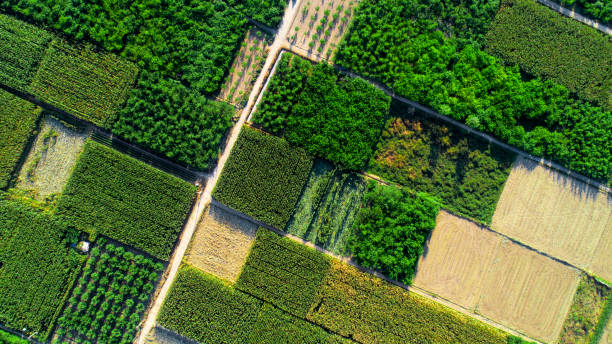 Aerial view of fields