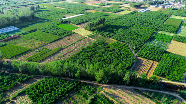 istock Aerial view of fields 1130072671