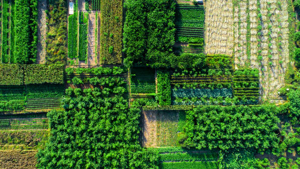 istock Scenic landscape with aerial view of fields 1130072705