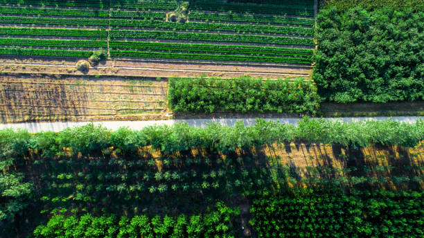 istock Scenic landscape with aerial view of fields 1130072707