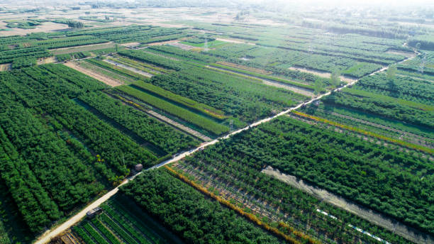 istock Scenic landscape with aerial view of fields 1130072711