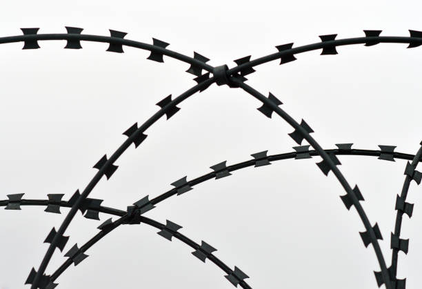 istock Razor blade barbed wire on sky background 1130073217