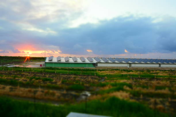 istock Solar roof against the sunset 1130074072