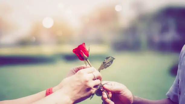 Photo of Couple in valentine's day