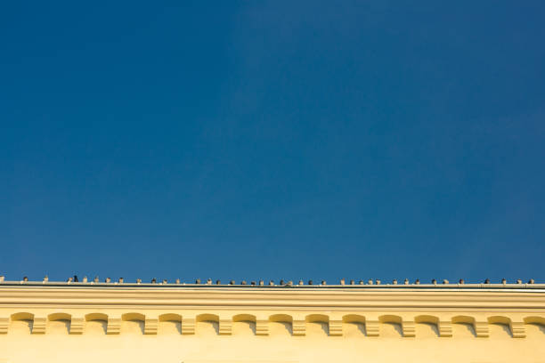 Pigeons on the roof. Krakow in Poland.