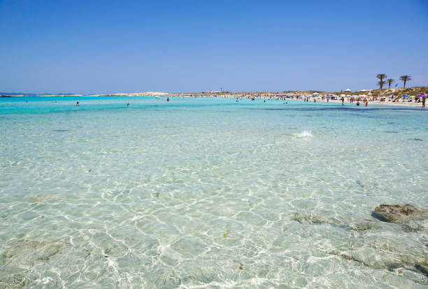 ses illetes em formentera é uma praia paraíso real em espanha. - illetes - fotografias e filmes do acervo