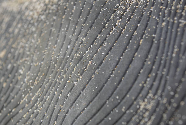 istock abstract rubber texture with grains of sand 1130083745