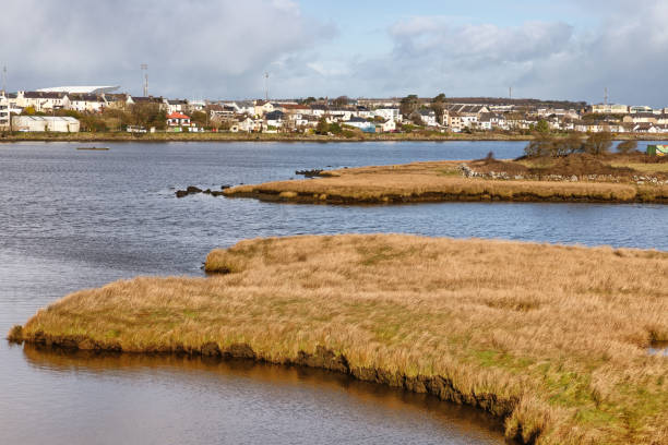 istock Lough Atalia with city buildings 1130092649