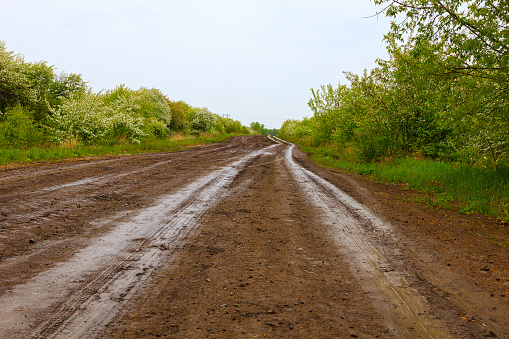 Dirt road after rain