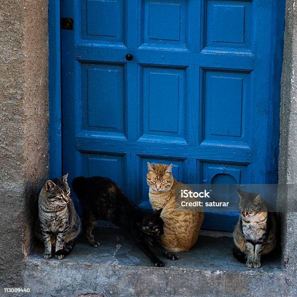Koty W Drzwi - zdjęcia stockowe i więcej obrazów Dom - Budowla mieszkaniowa - Dom - Budowla mieszkaniowa, Frontowe drzwi, Bez ludzi