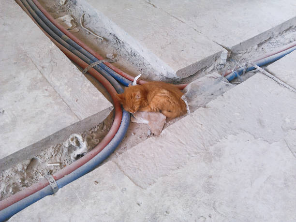 Dirty stray ginger kitten is sleeping on construction site. Poor homeless animal.