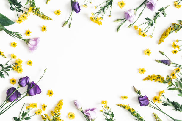istock Flowers composition. Yellow and purple flowers on white background. Spring, easter concept. Flat lay, top view, copy space 1130096929