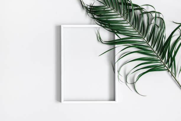 istock Summer composition. Tropical palm leaves, white photo frame on pastel gray background. Summer, nature concept. Flat lay, top view, copy space 1130097019