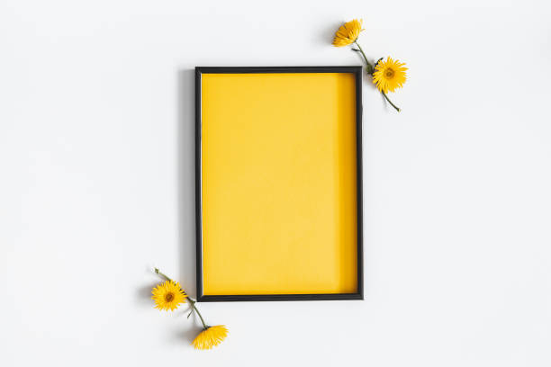 istock Flowers composition. Yellow flowers, photo frame on pastel gray background. Spring, summer concept. Flat lay, top view, copy space 1130097029