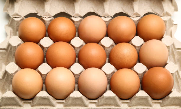 istock Fresh chicken eggs in paper tray isolated on white background 1130098298