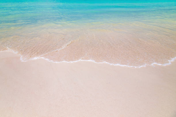 istock Beautiful beach and tropical sea 1130104344
