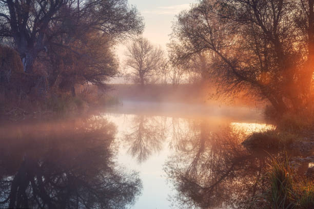 istock Gorgeous morning with river covered in thin layer of fog 1130106519