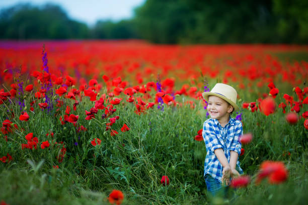 маленький милый мальчик в поле с красными маками и голубым небом - red poppies audio стоковые фото и изображения