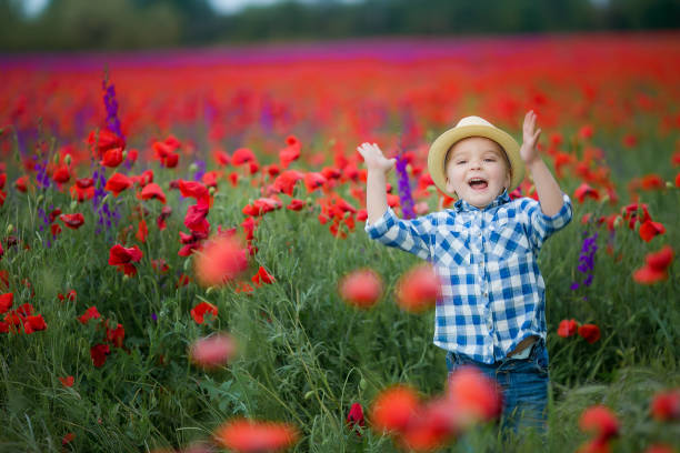 маленький милый мальчик в поле с красными маками и голубым небом - red poppies audio стоковые фото и изображения