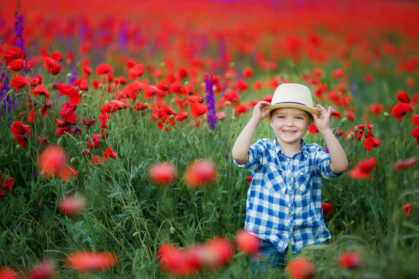 маленький милый мальчик в поле с красными маками и голубым небом - red poppies audio стоковые фото и изображения