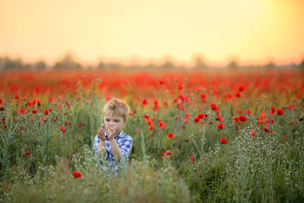 маленький милый мальчик в поле с красными маками и голубым небом - red poppies audio стоковые фото и изображения