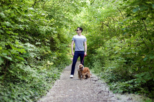 istock Young man walking with his dog in a park 1130110896