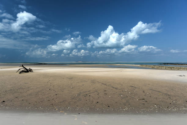 istock Magaruque Island - Mozambique 1130112373