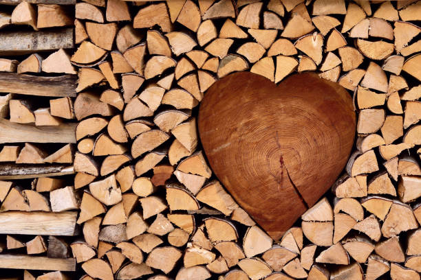 Firewood, nicely assembled in the shape of heart, romantic background wooden texture, nature background woodpile stock pictures, royalty-free photos & images