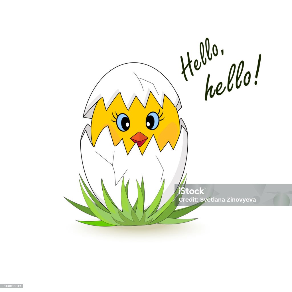 Little chicken hatched from an egg. Hey. Isolated on white background. Easter. Vector Art stock vector