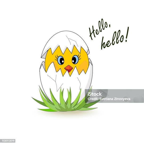 Little Chicken Hatched From An Egg Hey Isolated On White Background Easter Vector Stock Illustration - Download Image Now