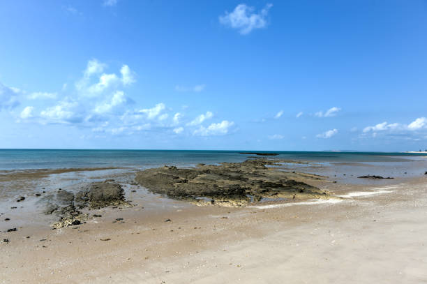 istock Magaruque Island - Mozambique 1130113326