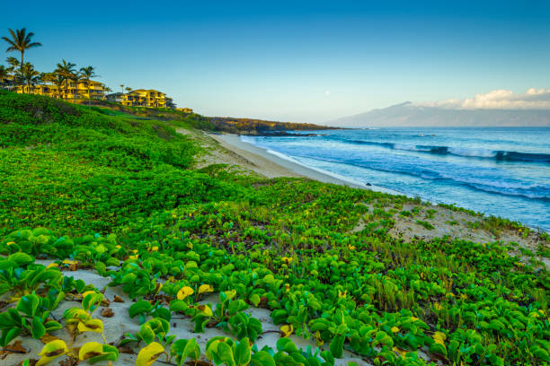 istock Island of Maui in Hawaii 1130113498