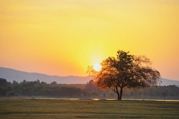 istock beautiful sunset in the mountain landscapes 1130116056