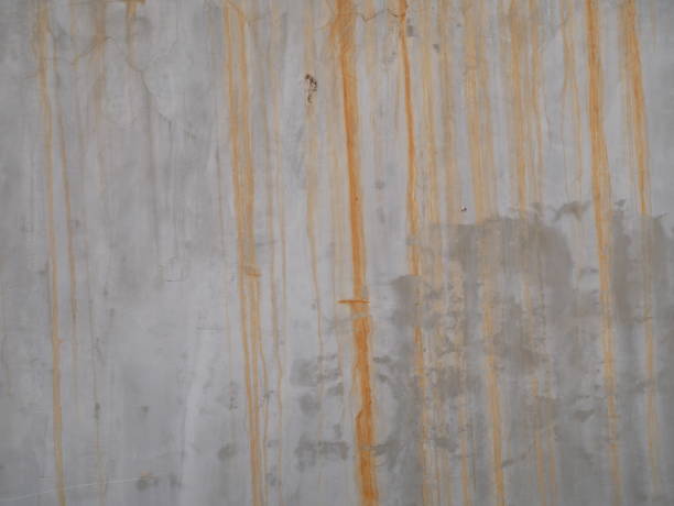 istock Concrete wall with ornamental plants 1130116181