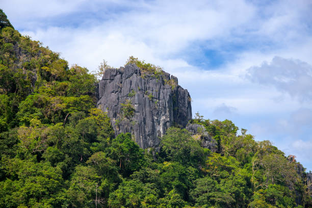 istock Tropical island landscape with cliff and forest. Green mountain view on sky background. Sharp rock. 1130117265
