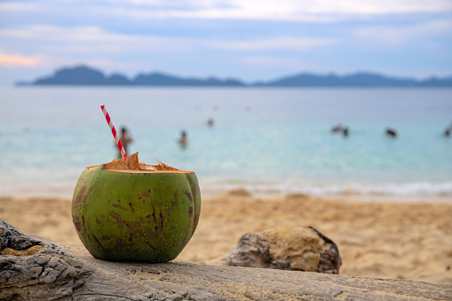 在沙灘上用稻草喝綠色椰子飲料熱帶海濱椰子汁白色沙灘放鬆身心照片檔及更多椰子照片- 椰子, 浮木, 享受- iStock