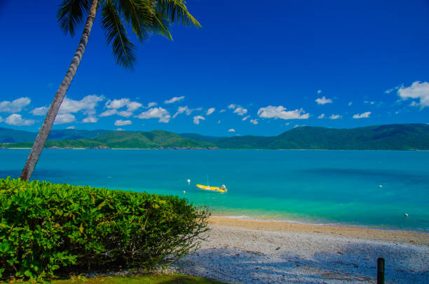 istock Strand auf Daydream Island, Whitsunday Islands 1130117359