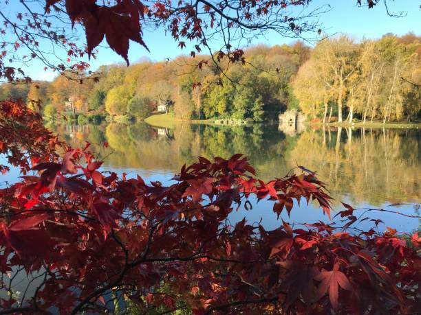 istock Autumn sunshine on trees over water with red leaves in foreground 1130119046