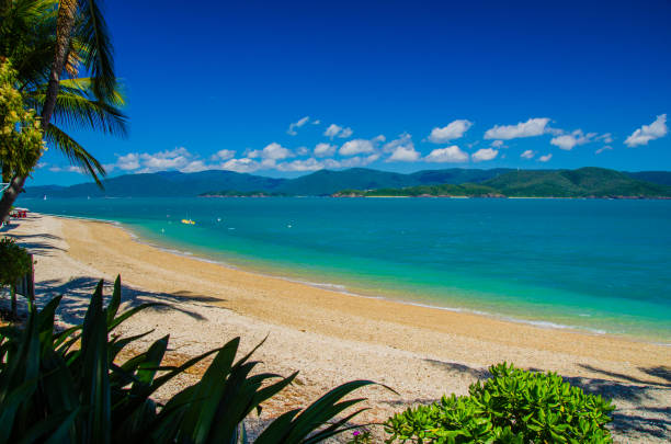 Daydream Island, Whitsunday Islands The view from Daydream Island on a beautiful day. sonne stock pictures, royalty-free photos & images