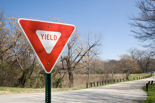 A yield sign in dappled sunlight and set in a park during winter.  Bare trees and clear blue sky.  Yield sign is to the left side of the frame with copy space above and to the right of the sign.