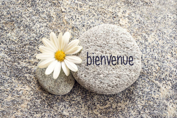 istock Bienvenue (meaning welcome in french) written on a stone background with a daisy 1130120514