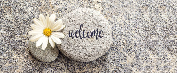 parola benvenuto scritta su uno sfondo di pietra con una margherita - perfection nature balance stone foto e immagini stock