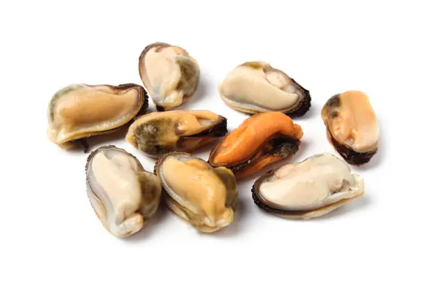 Photo of Mussel meat