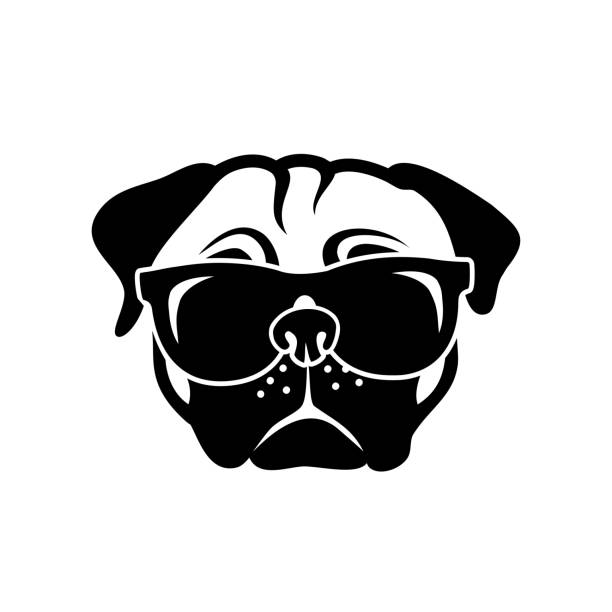 ilustrações, clipart, desenhos animados e ícones de cão pug usando óculos de sol - ilustração vetorial - pug