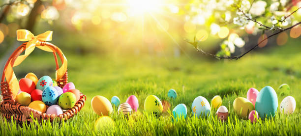 istock Easter Eggs in a Basket on Green Grass Sunny Background 1130123796