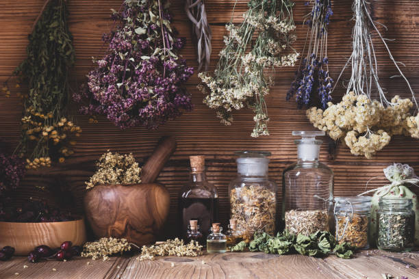 сушеные травы, висящие над бутылками настойок и масел - alternative medicine mortar and pestle herbal medicine herb стоковые фото и изображения